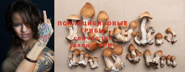 хмурый Елизово