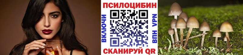 Купить Котельники Галлюциногенные грибы MAGIC MUSHROOMS